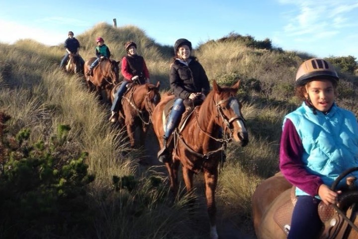 a person riding a horse