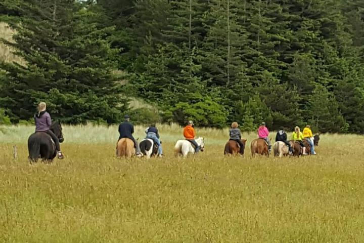 a group of people in a field