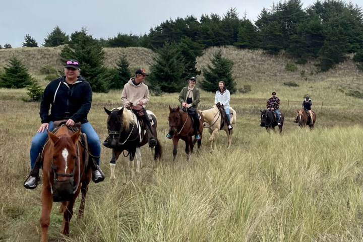 a group of people riding on the back of a horse in a field