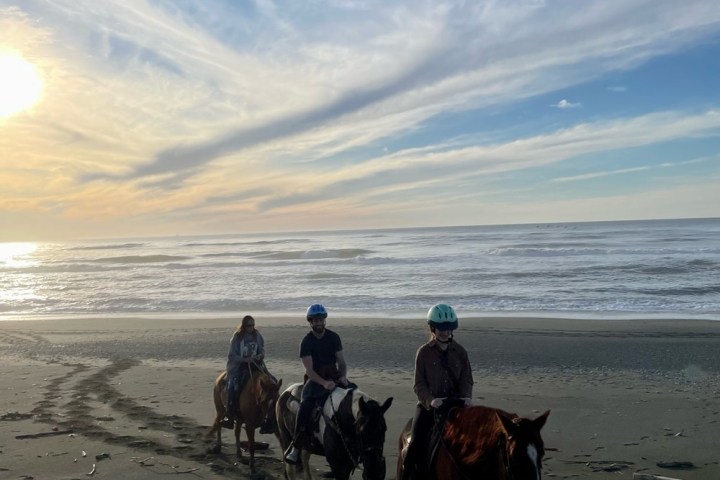 a group of people riding a horse on a beach