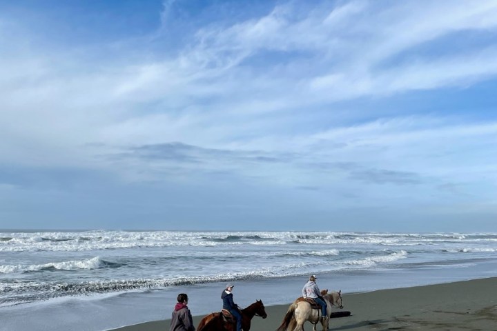 a group of people riding a horse on a beach