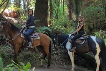 a couple of people that are sitting on a horse in a forest