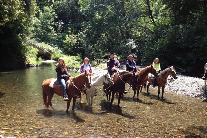 a group of people riding on the back of a horse