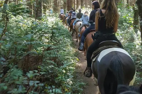 a person riding a horse in a forest