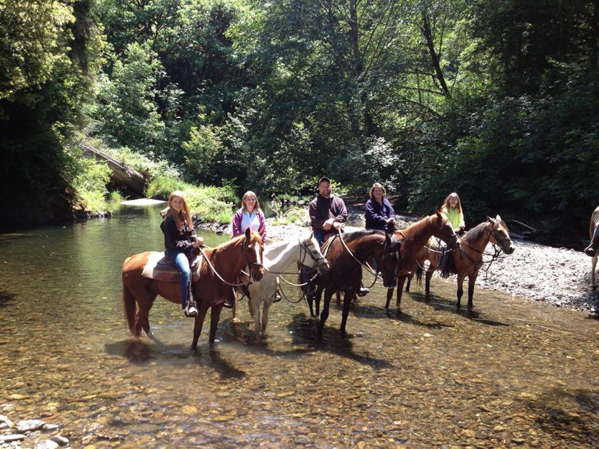 a group of people riding on the back of a horse