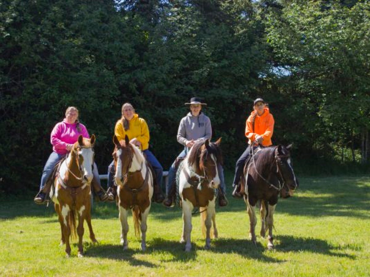 a group of people riding a horse in a field